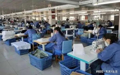 為啥現在工廠開資8000,都招不到人 徹底扒開背后的偽善面具