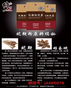 香港迪賽睿集團與修正合作小藍帽產品 蛇鞭粉膠囊招代理